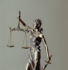 Business Litigation Lawyer - Eve Mazzarella 